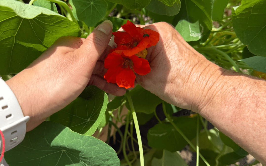 Growing Joy: How a Garden Brought Kayla and Miss Deborah Closer